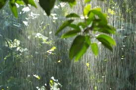 <br />
<b>Warning</b>:  Undefined variable $name_ar in <b>H:\root\home\ghorbanews1-001\www\archive\index.php</b> on line <b>408</b><br />
